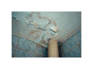 moldy bathroom ceiling with pealing paint proving landlord negligence.