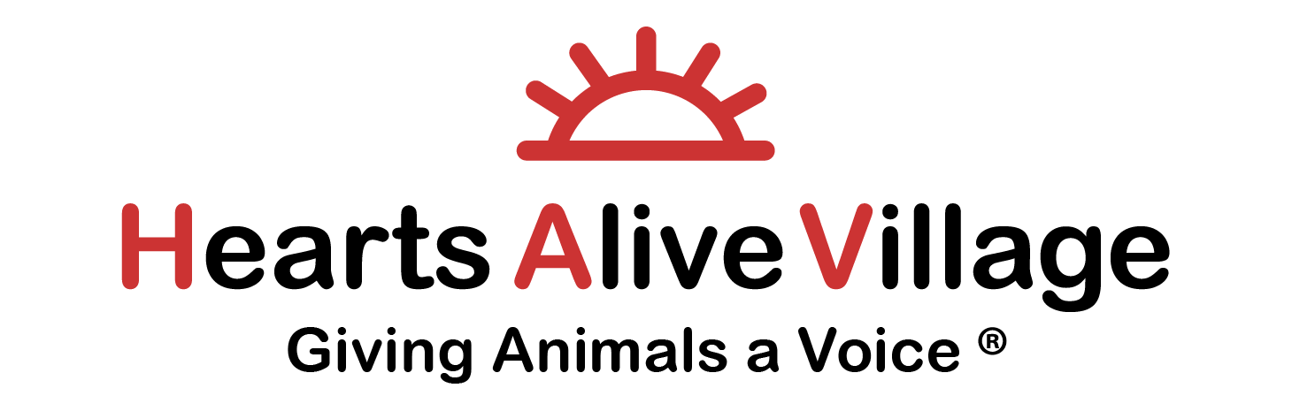 Hearts Alive Village, Las Vegas